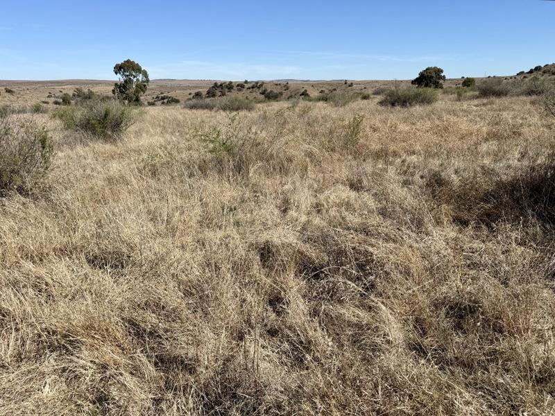 0 Bedroom Property for Sale in Lindley Free State